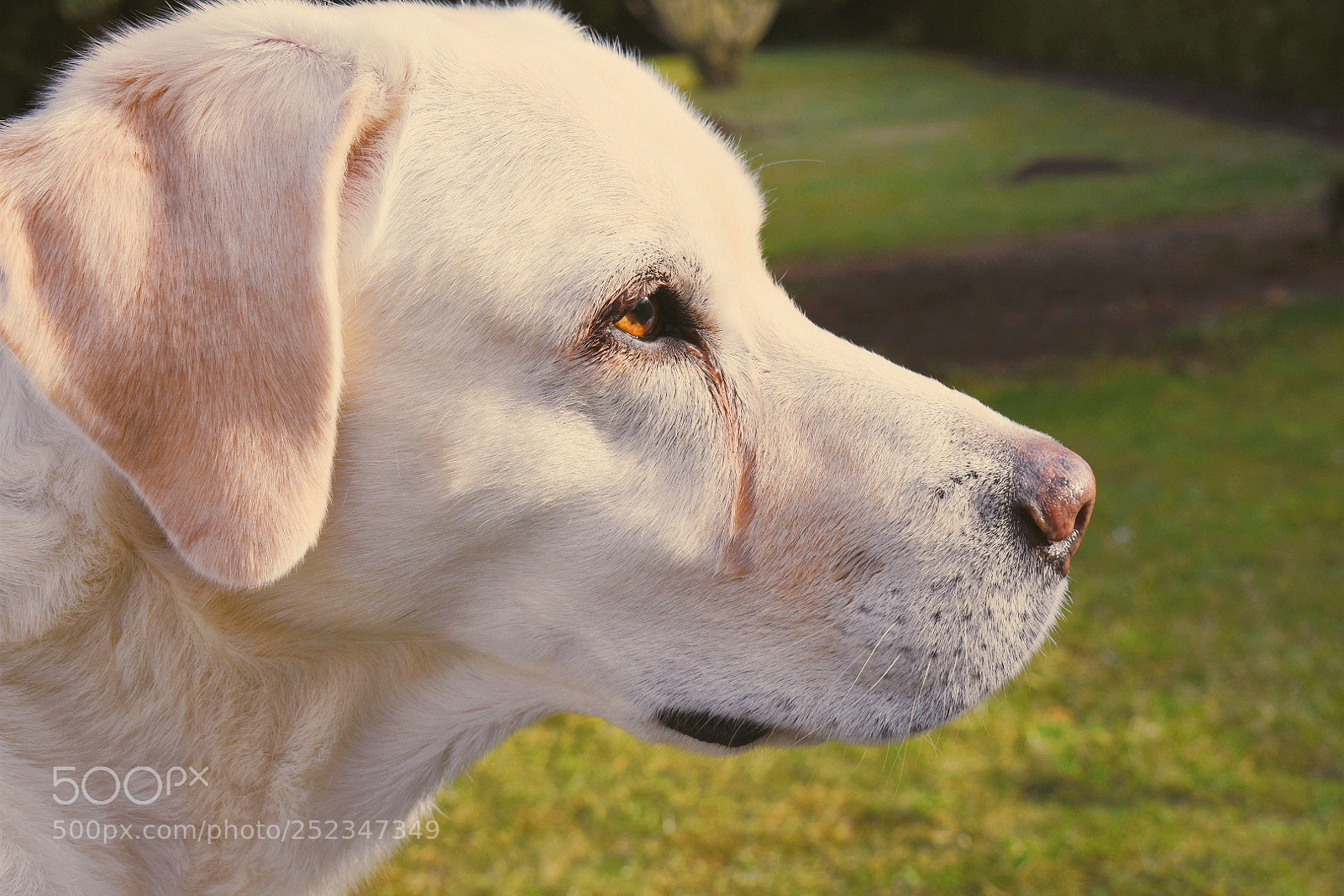 Nikon D7200 sample photo. Untitled photography