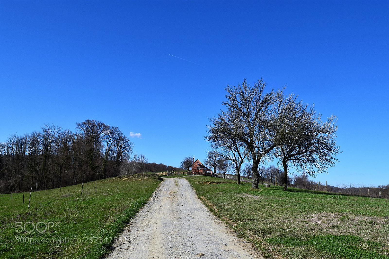 Nikon D3300 sample photo. Bilogorski sokak photography