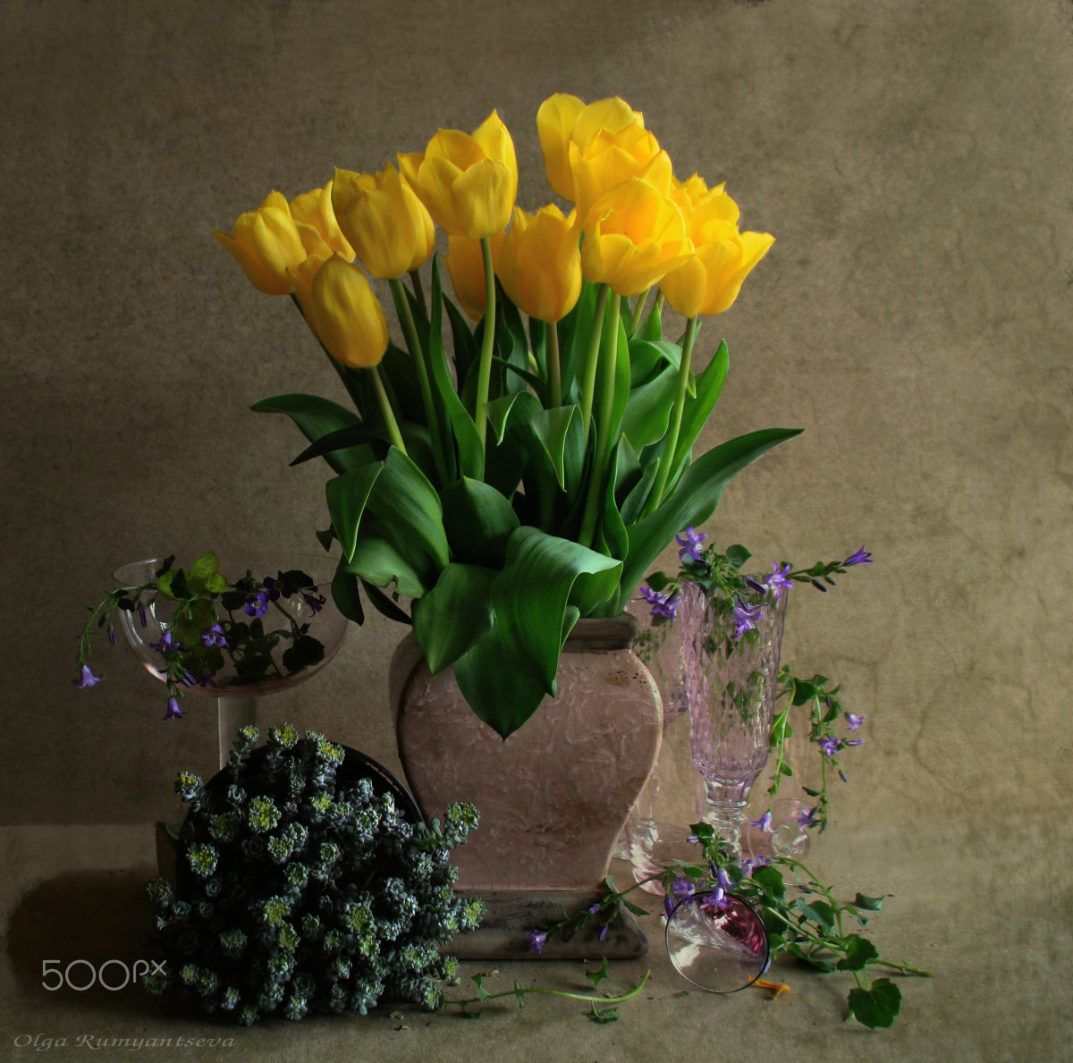 Canon EOS 50D sample photo. Spring. photography
