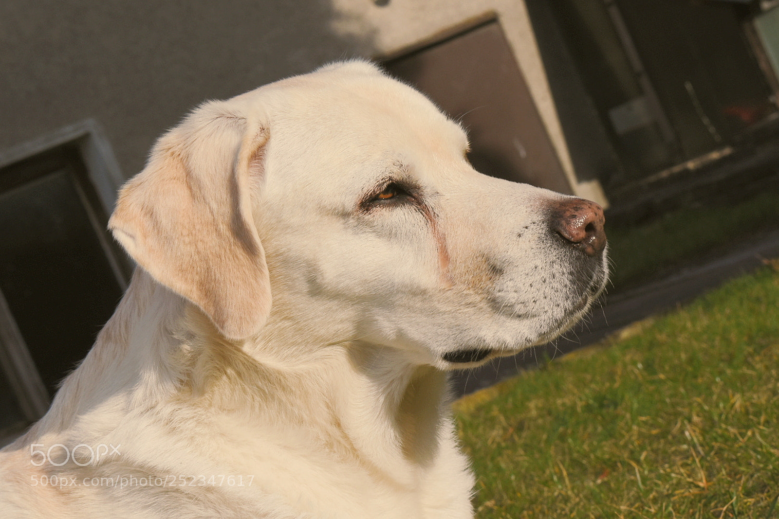 Nikon D7200 sample photo. Untitled photography