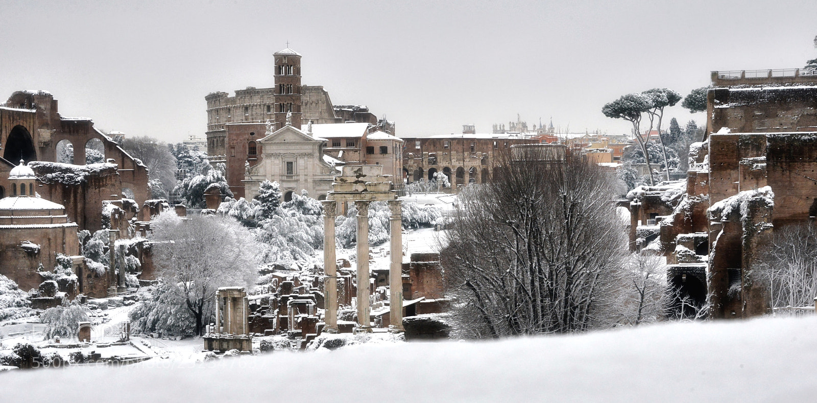 Nikon D800E sample photo. White rome photography