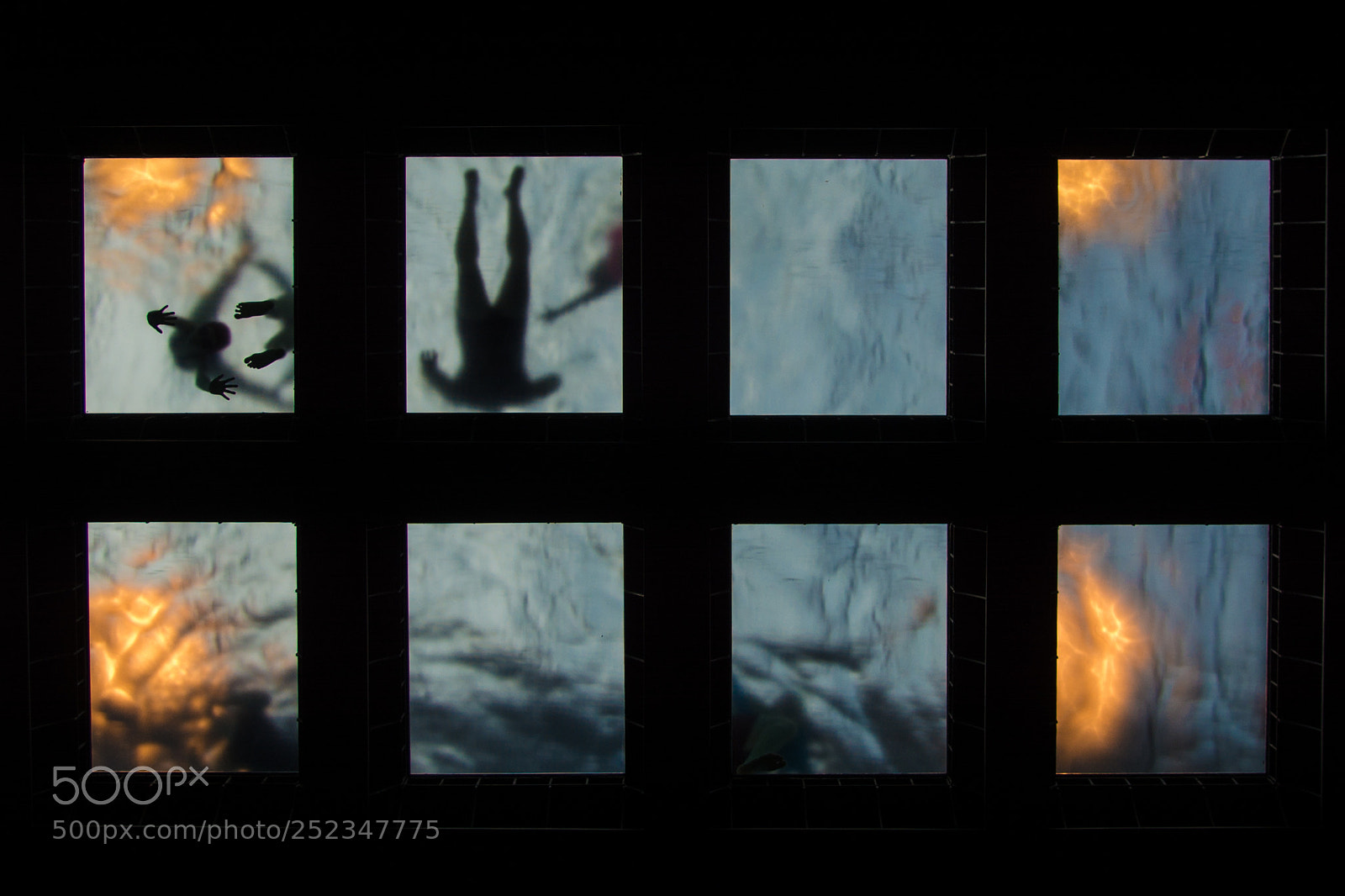 Nikon D7100 sample photo. A human aquarium photography