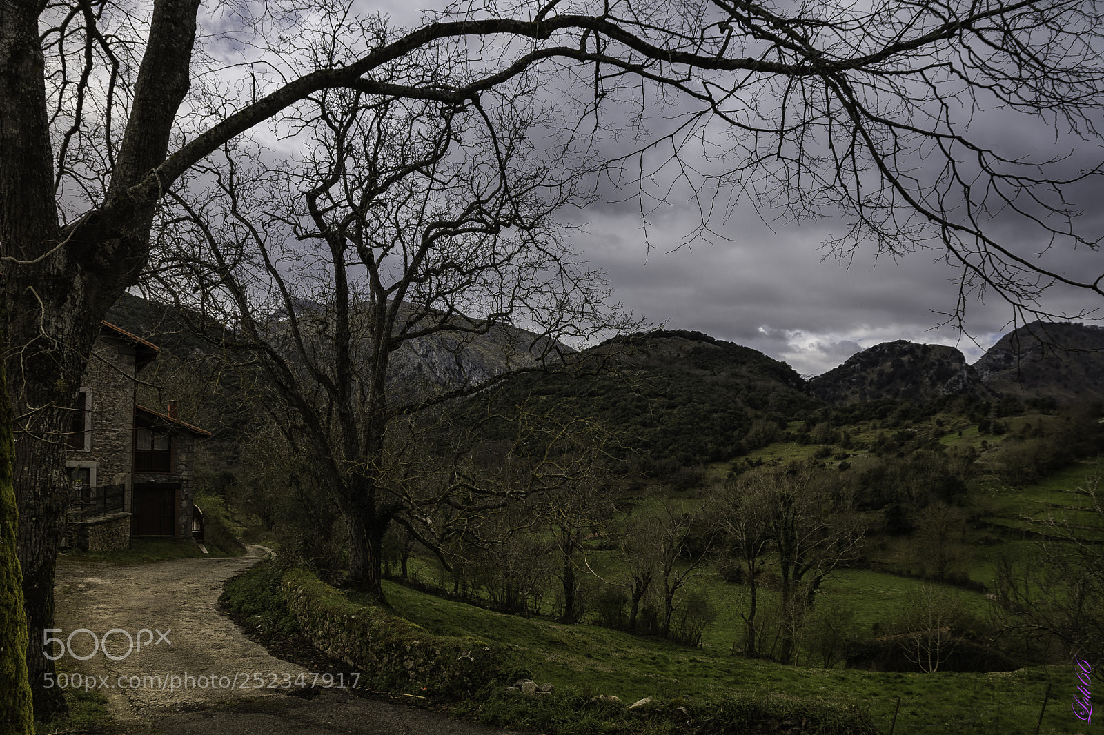 Nikon D7200 sample photo. Asturias photography