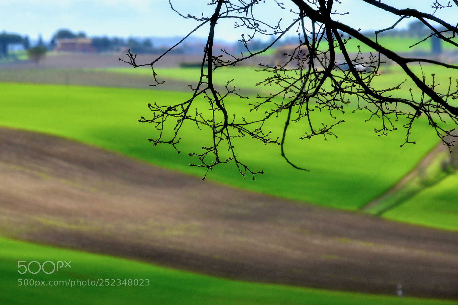 Nikon D800E sample photo. Master relax ii photography