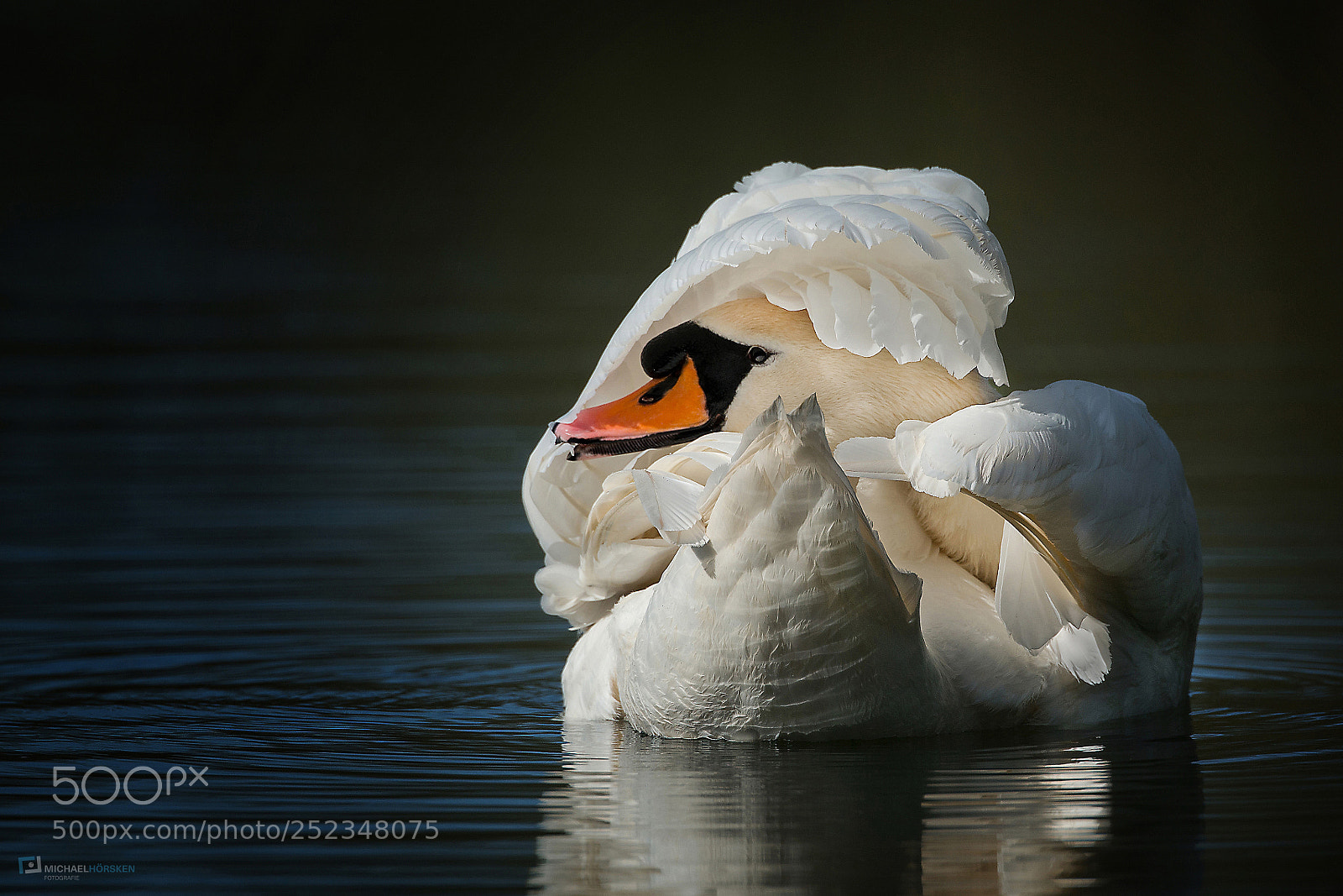Nikon D800E sample photo. Beauty care photography