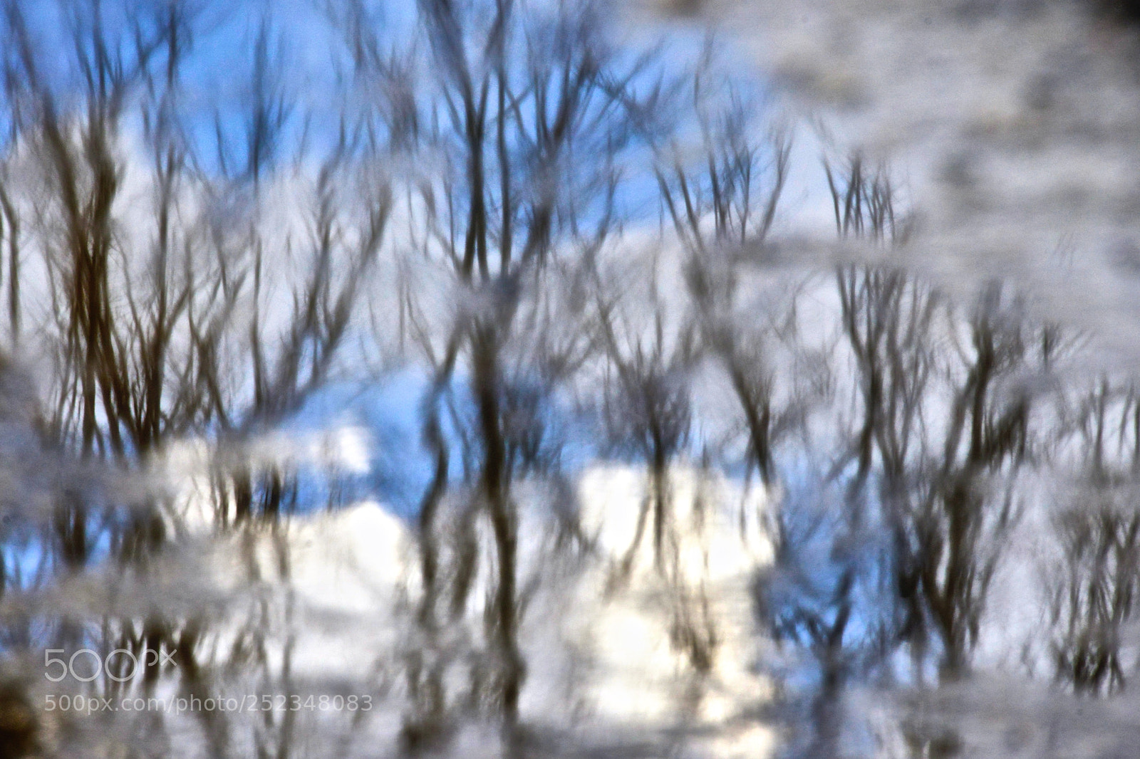 Nikon D800E sample photo. After the rain photography