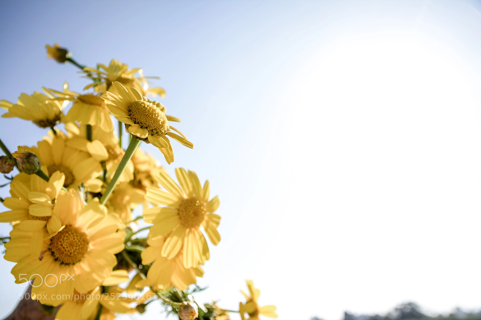 Nikon D7100 sample photo. Edited photography