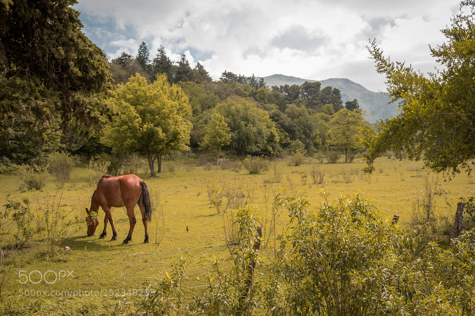 Nikon D7100 sample photo. Paisaje serrano photography