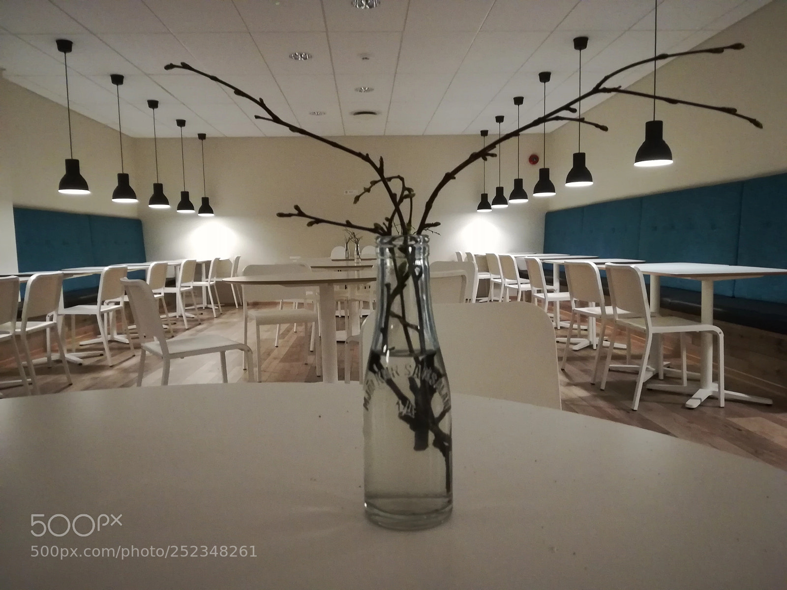 HUAWEI P10 lite sample photo. The milk factory photography