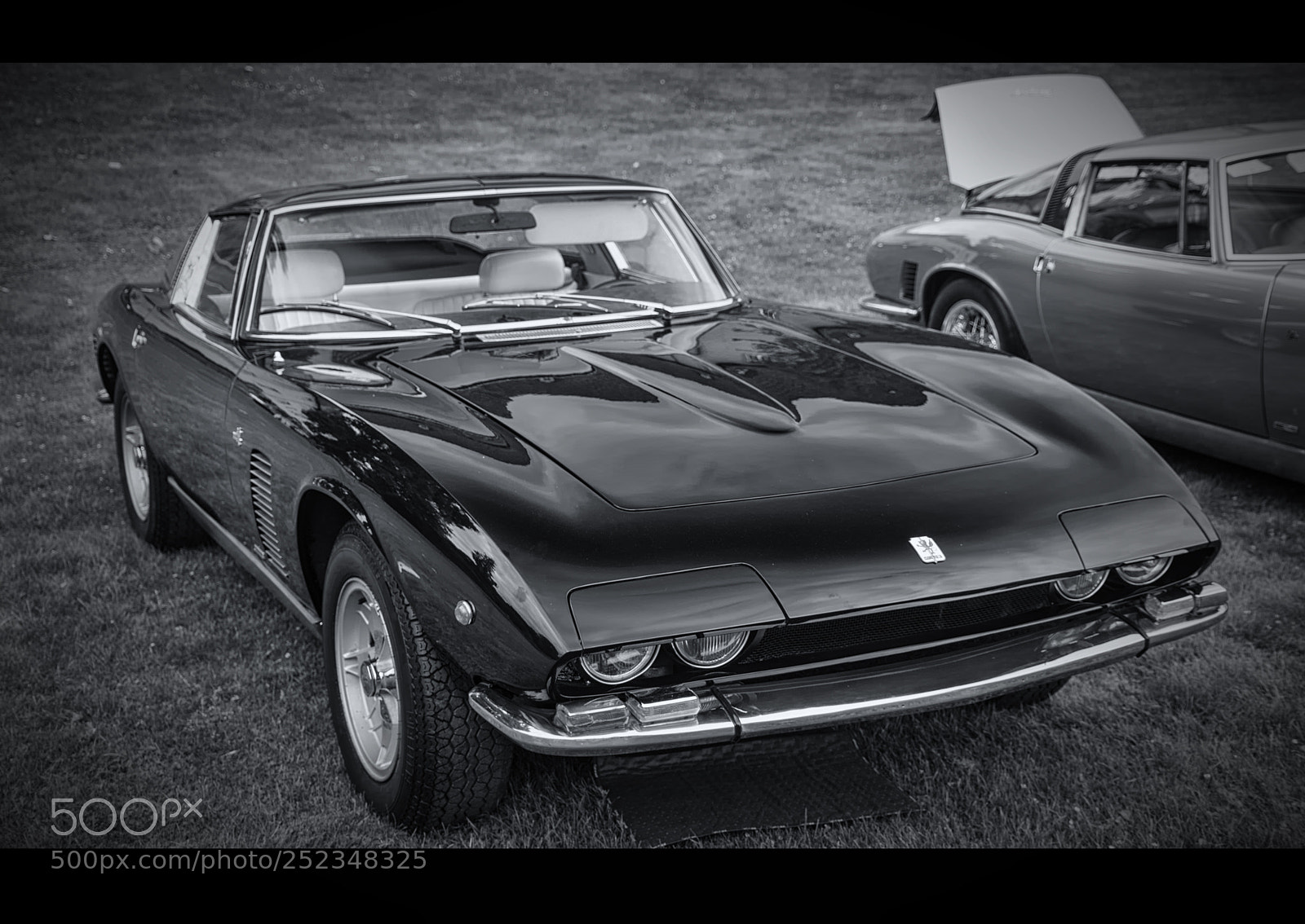 Nikon D7200 sample photo. Iso grifo photography