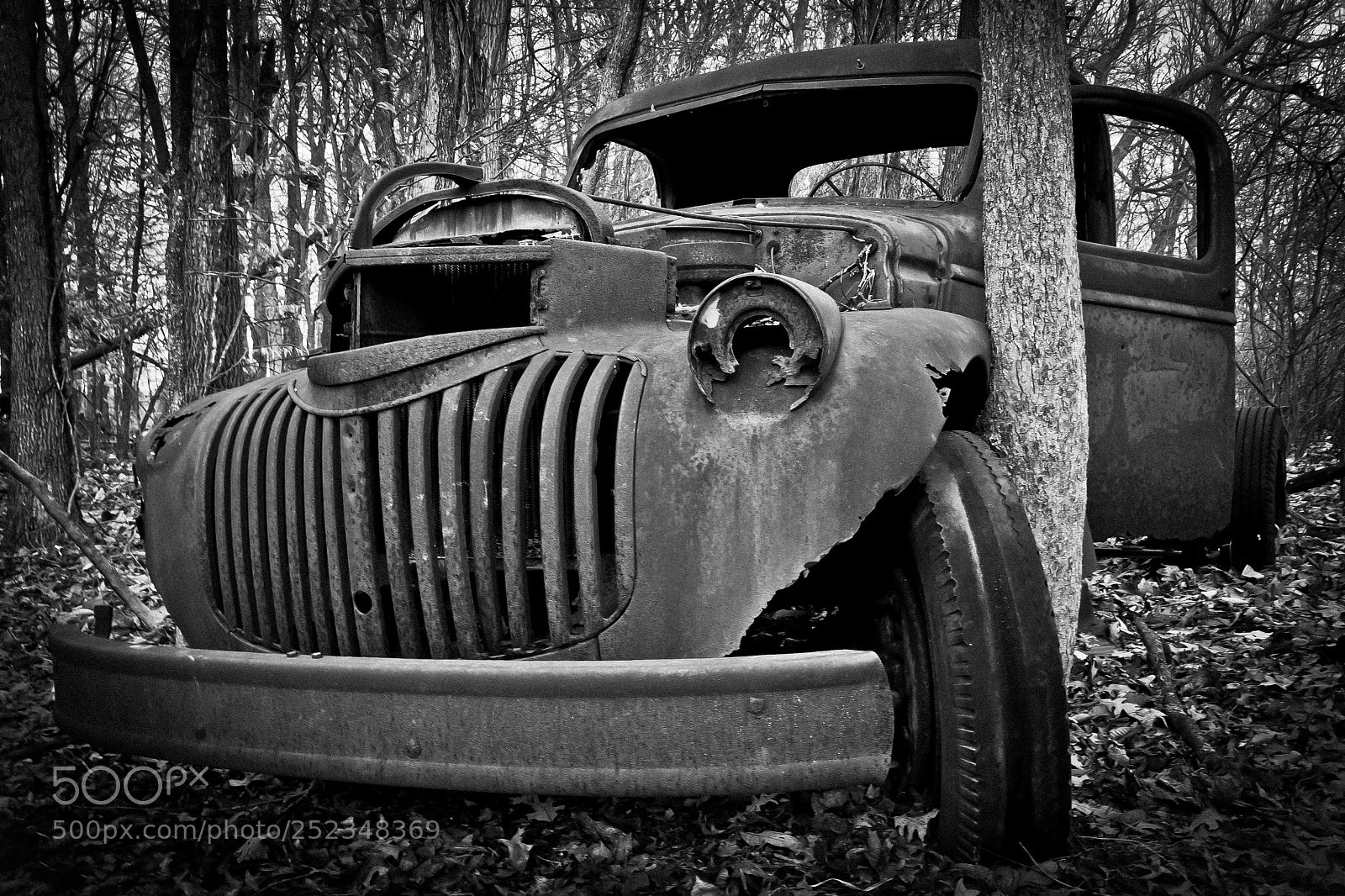 Canon EOS 5D Mark II sample photo. Truck on a tree photography
