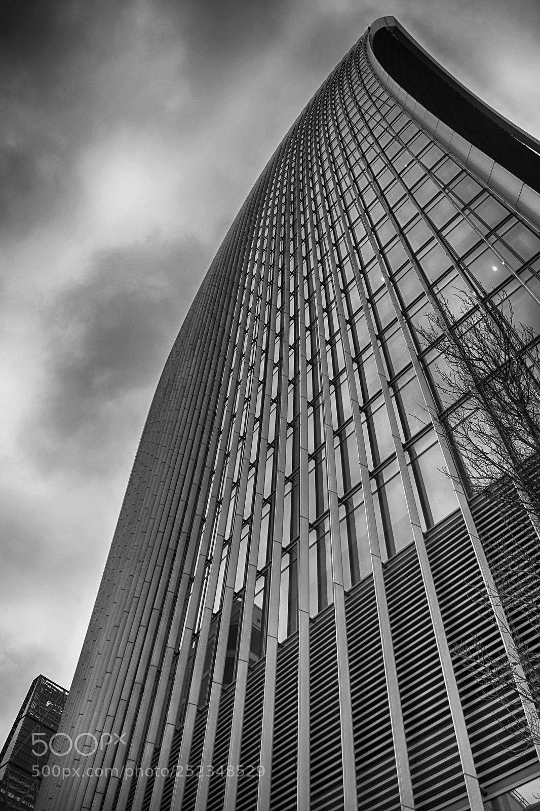 Nikon D5300 sample photo. Running to the sky photography