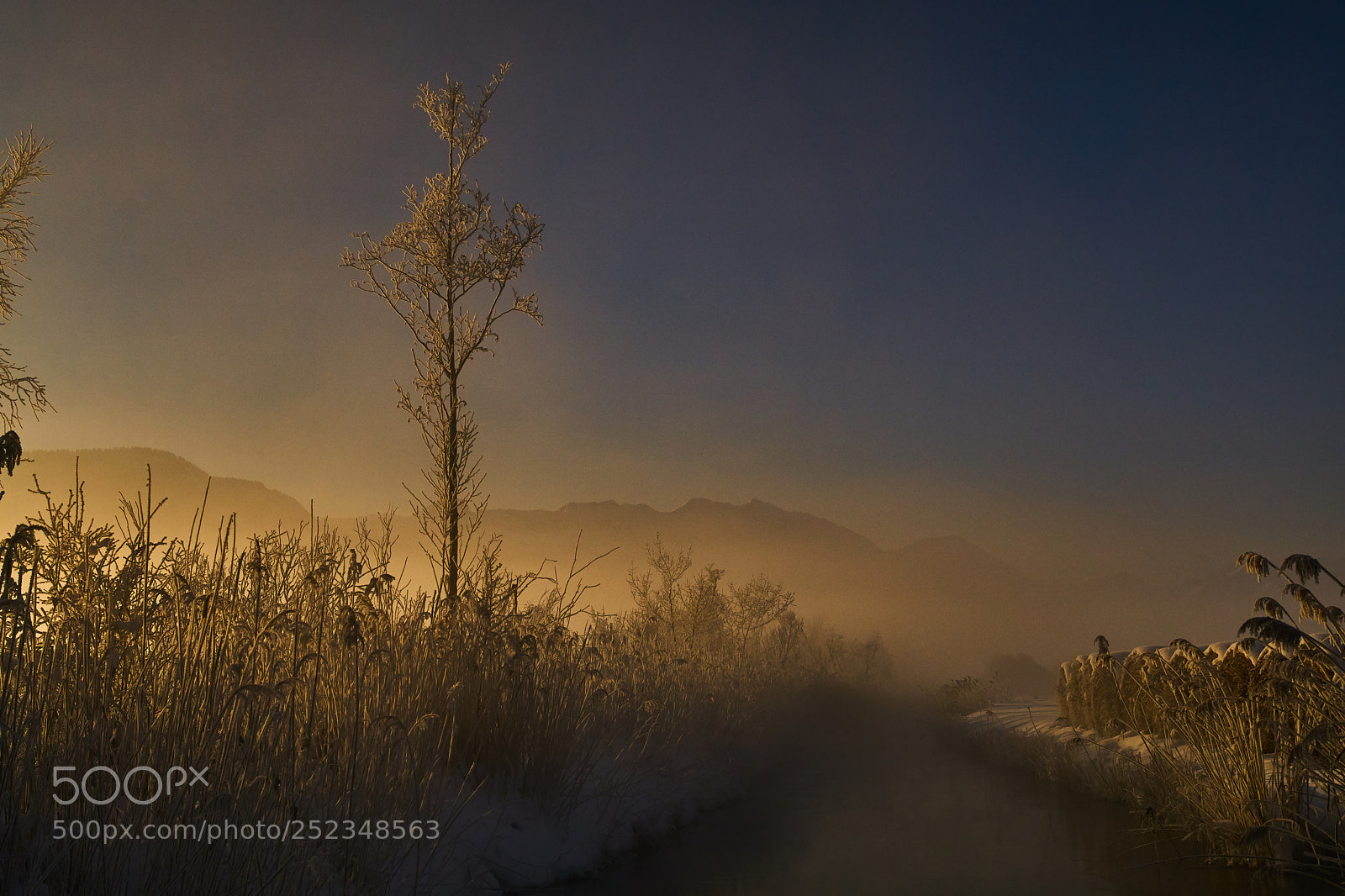 Sony ILCA-77M2 sample photo. Baum und fluss photography