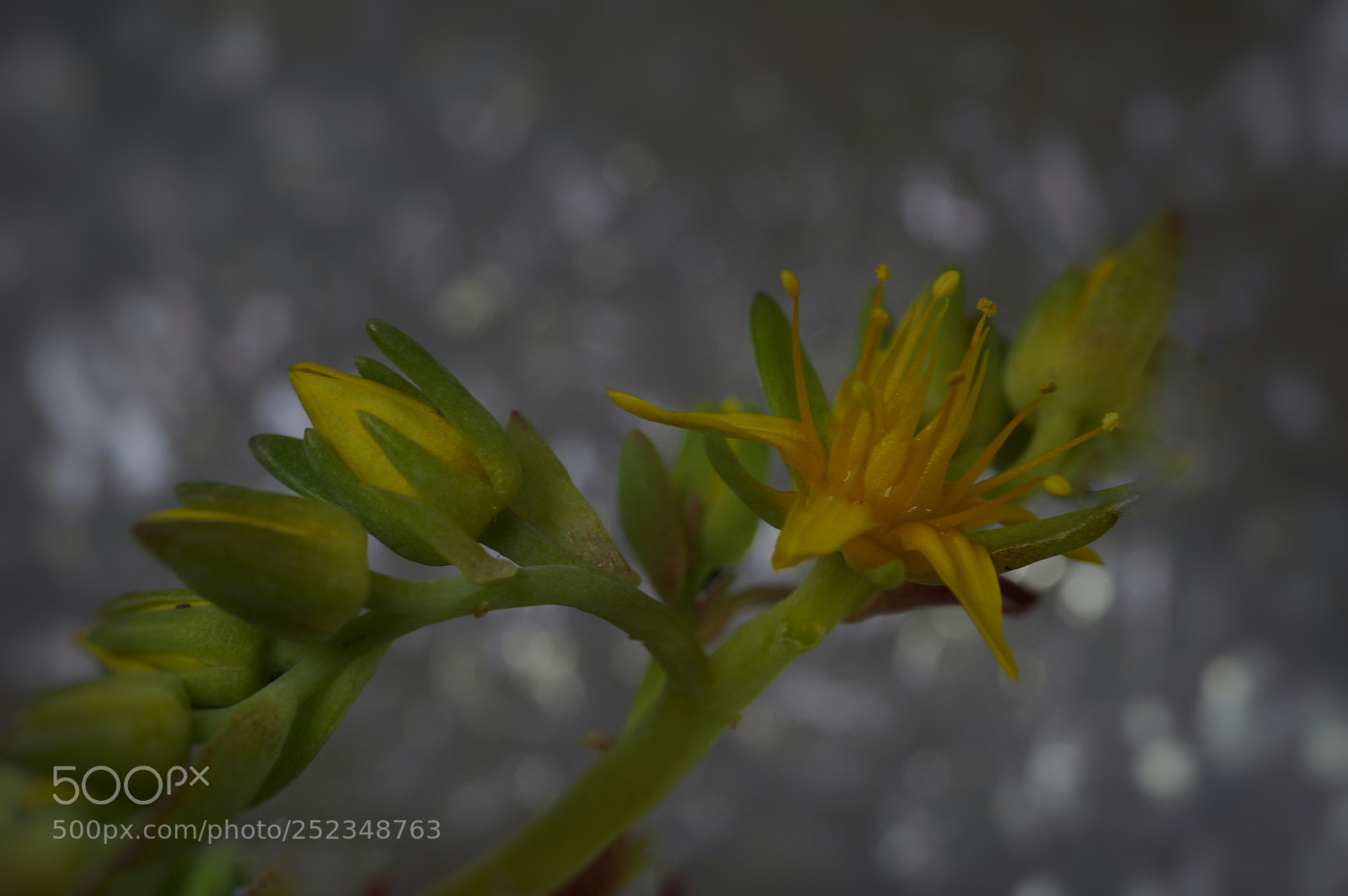 Pentax K-3 sample photo. ?..... photography
