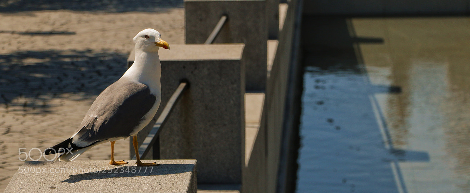 Canon EOS 70D sample photo. The look of the photography