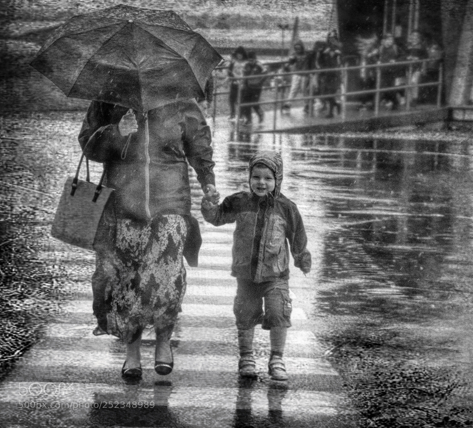 Sony SLT-A77 sample photo. Wet crossing photography