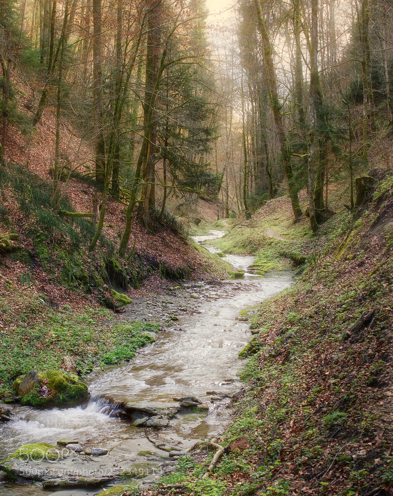 Sony SLT-A65 (SLT-A65V) sample photo. Dreamy mutzbachgraben photography
