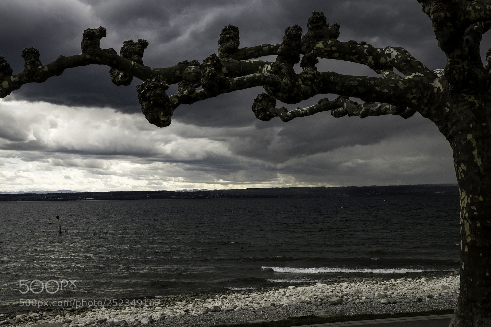 Fujifilm X-T1 sample photo. Spotted frame photography