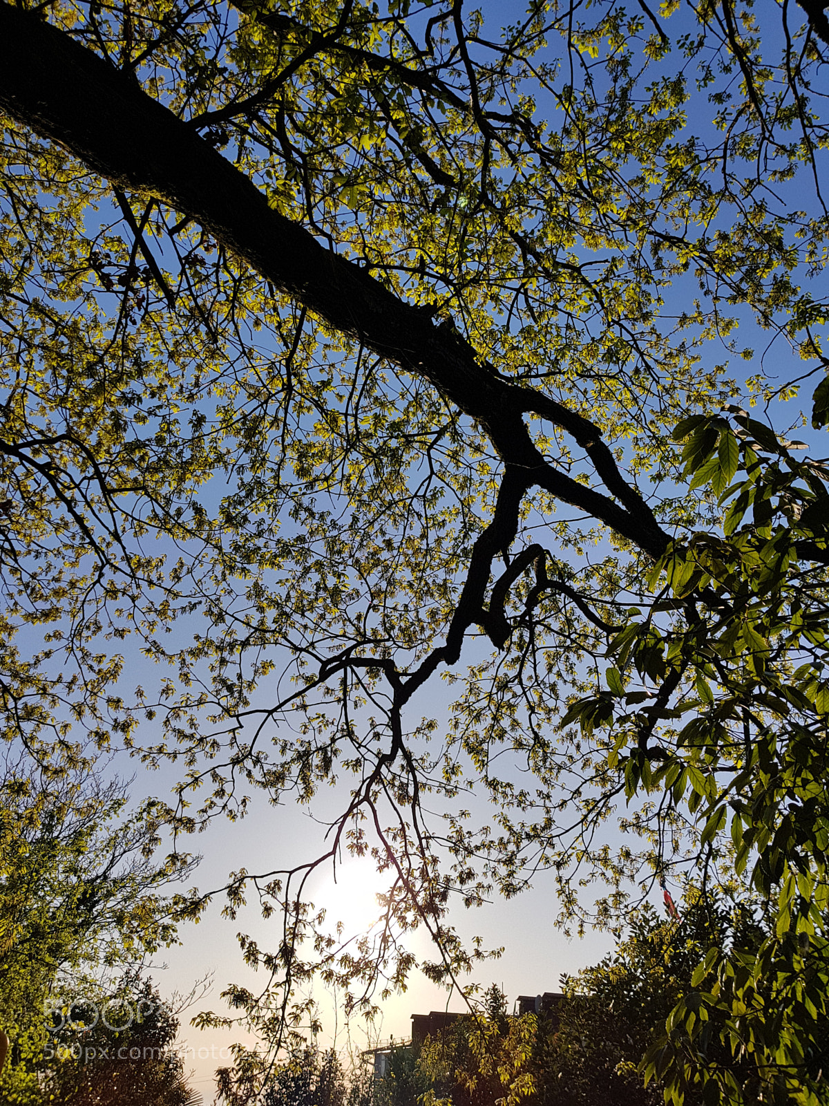 Samsung Galaxy S8 sample photo. Sundown photography