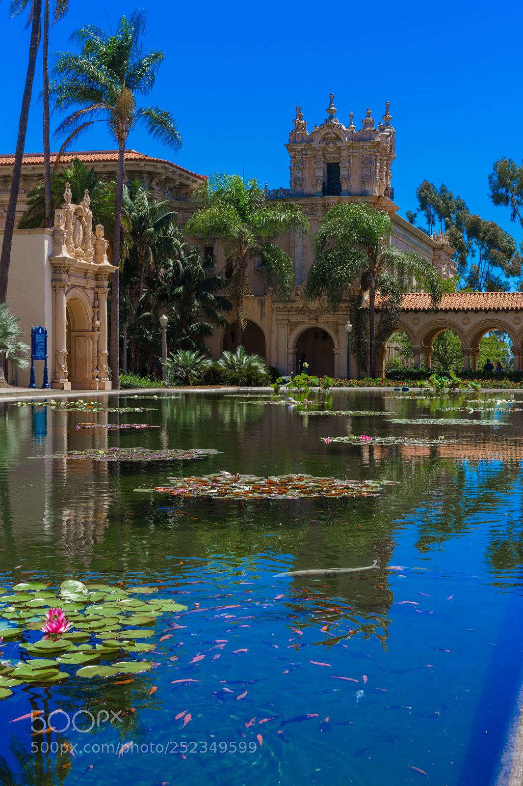 Sony a7 sample photo. Balboa park photography
