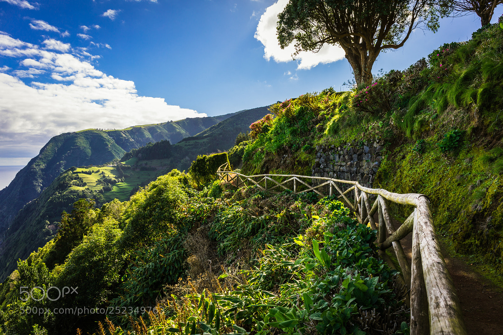 Canon EOS 5D Mark IV sample photo. Azores #8 photography