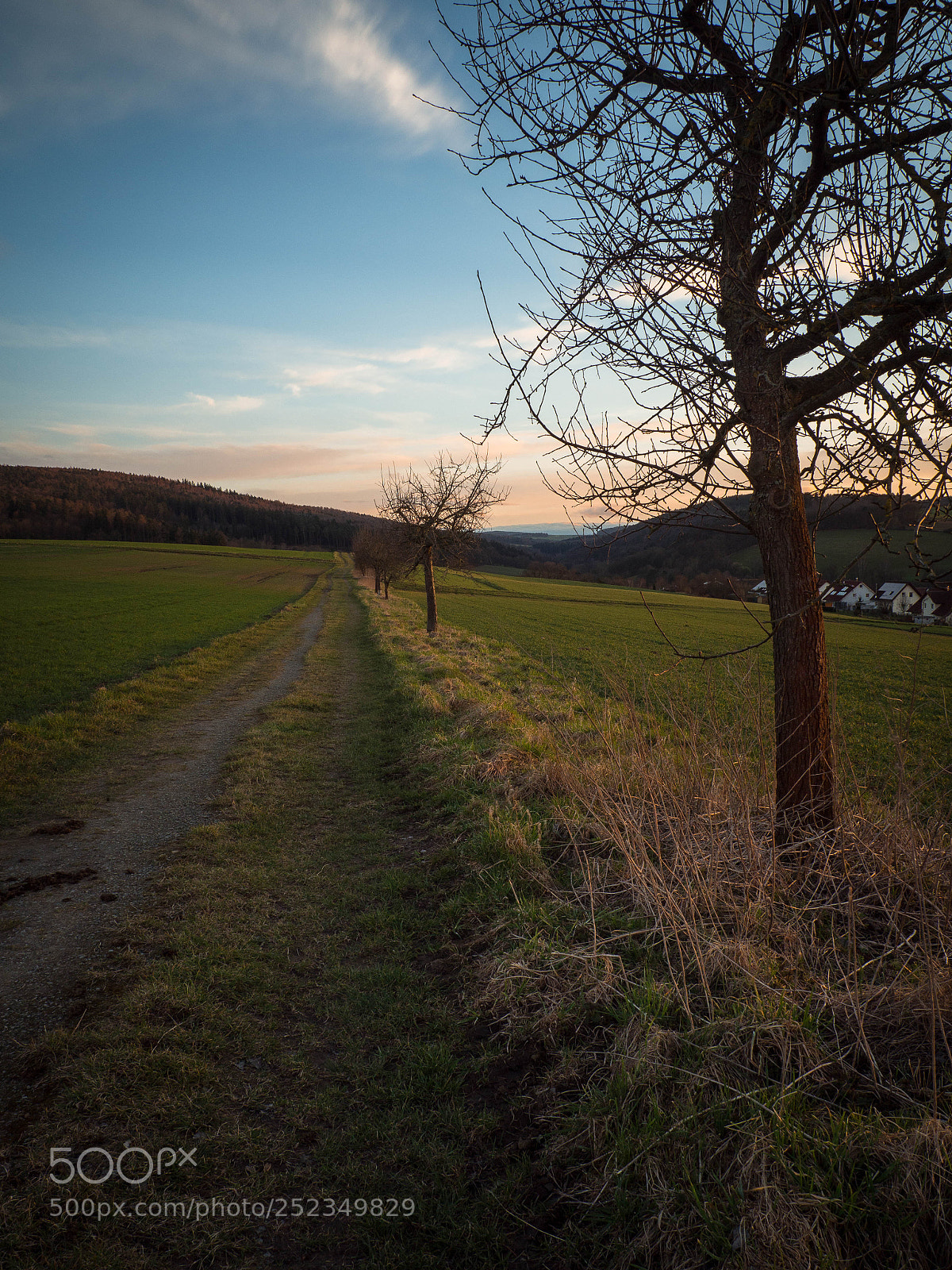 Olympus OM-D E-M10 II sample photo. Walking.... photography