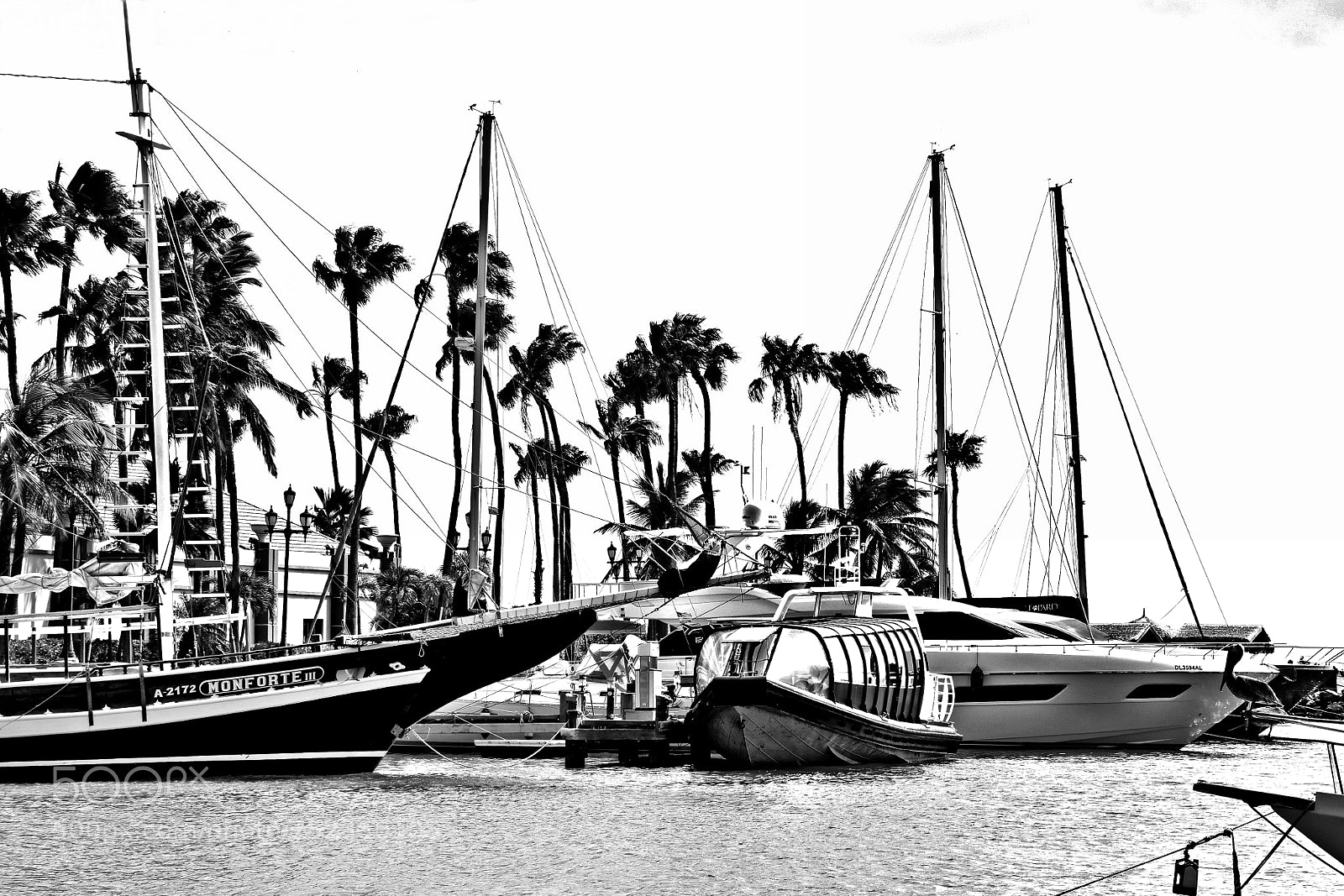 Nikon D5300 sample photo. B&w marina photography