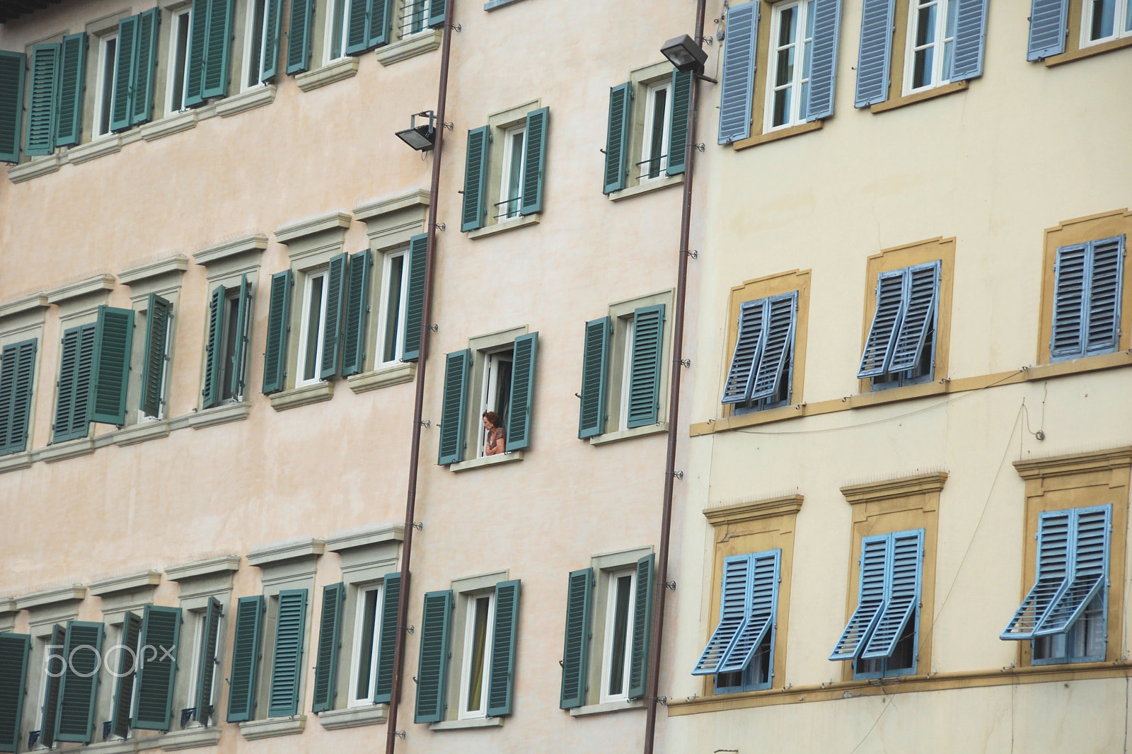 Nikon D80 sample photo. Florence windows photography