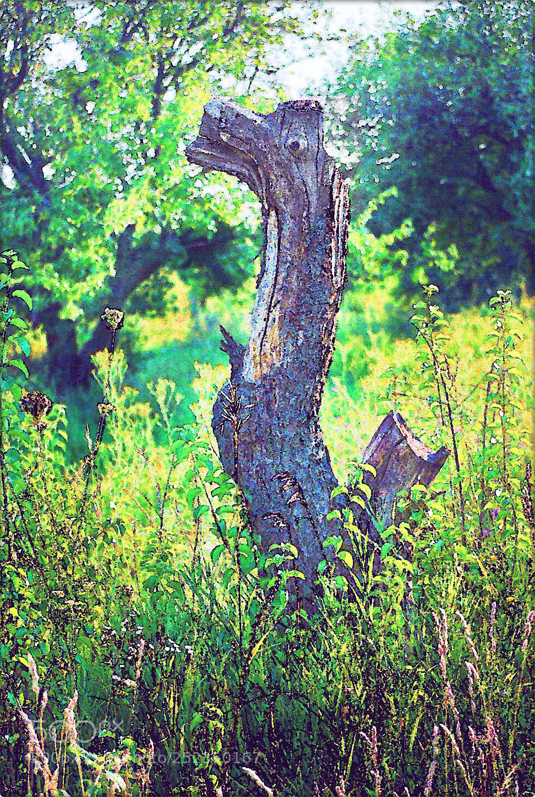 Nikon D60 sample photo. Aeadccc orig photography