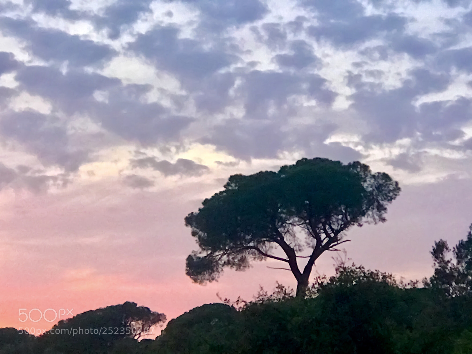 Apple iPhone 7 Plus sample photo. Sunset photography