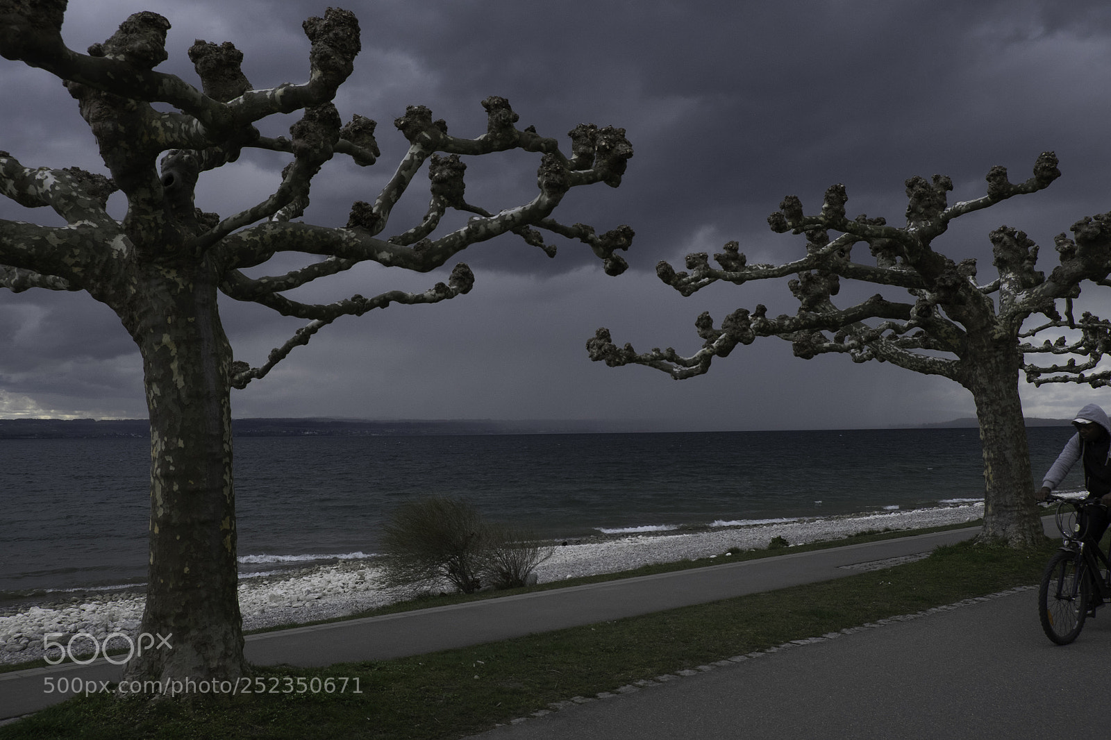 Fujifilm X-T1 sample photo. Der mit dem regen photography