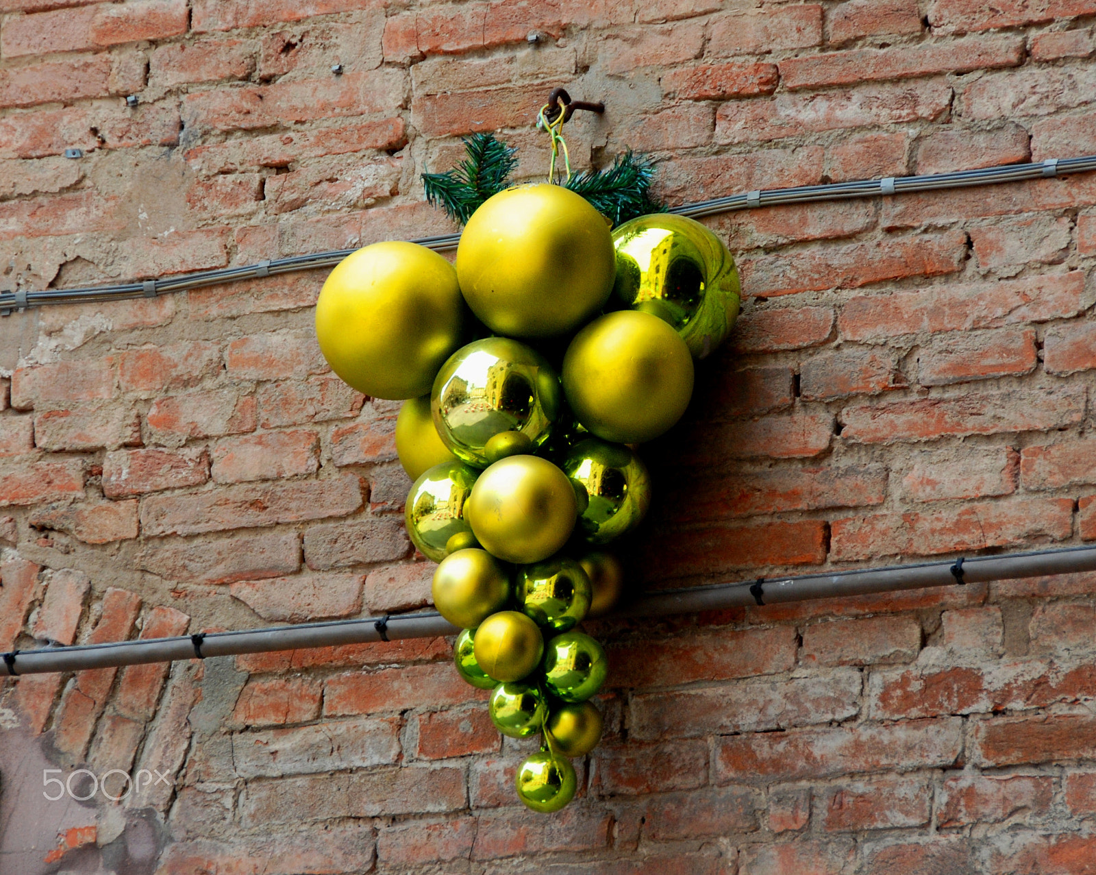 Nikon D80 sample photo. Bologna grapes photography