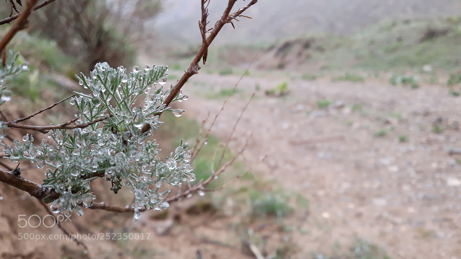 Samsung Galaxy J5 sample photo. Close shot... photography