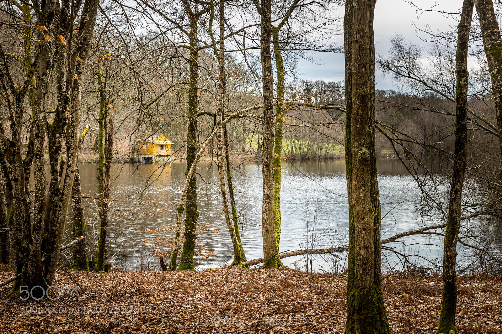 Canon EOS 6D Mark II sample photo. Hut photography