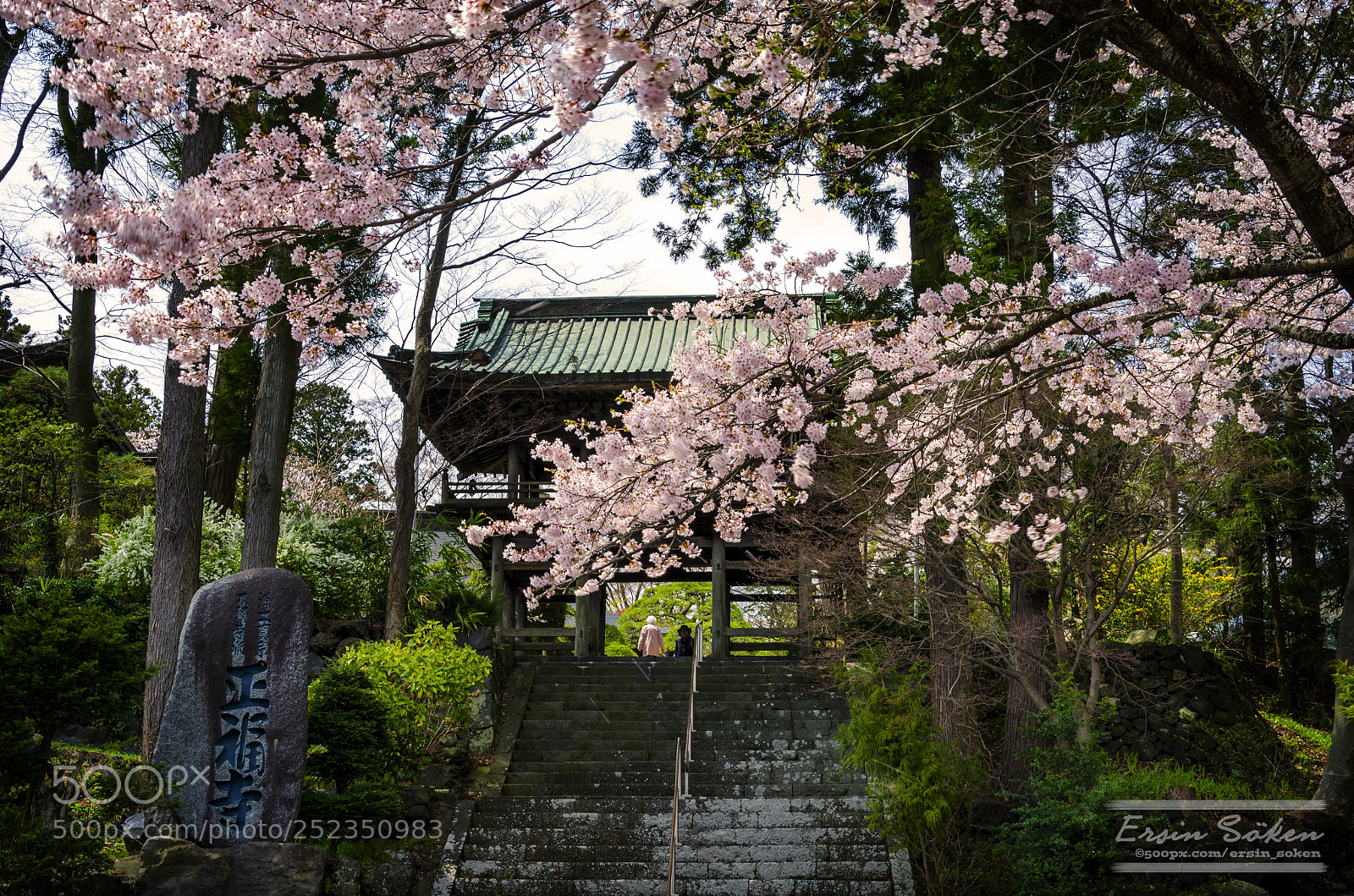 Nikon D7000 sample photo. Shofukuji photography