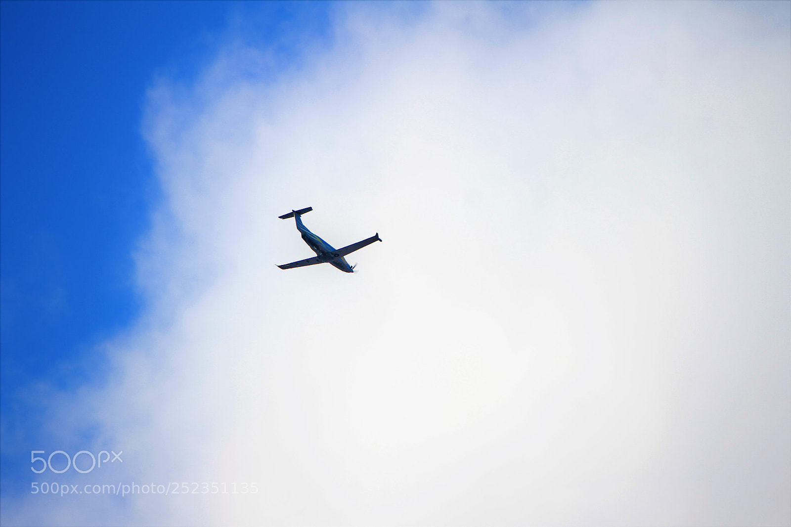 Canon EOS 60D sample photo. Nel blu dipinto di photography