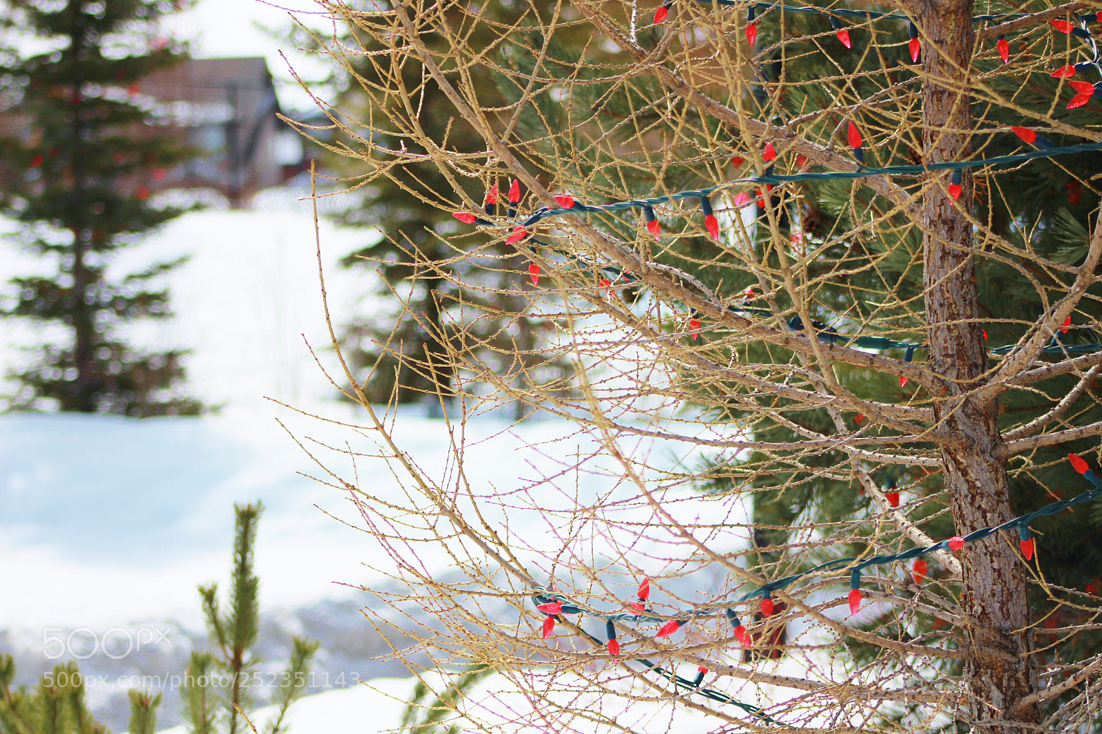 Canon EOS 700D (EOS Rebel T5i / EOS Kiss X7i) sample photo. Img photography