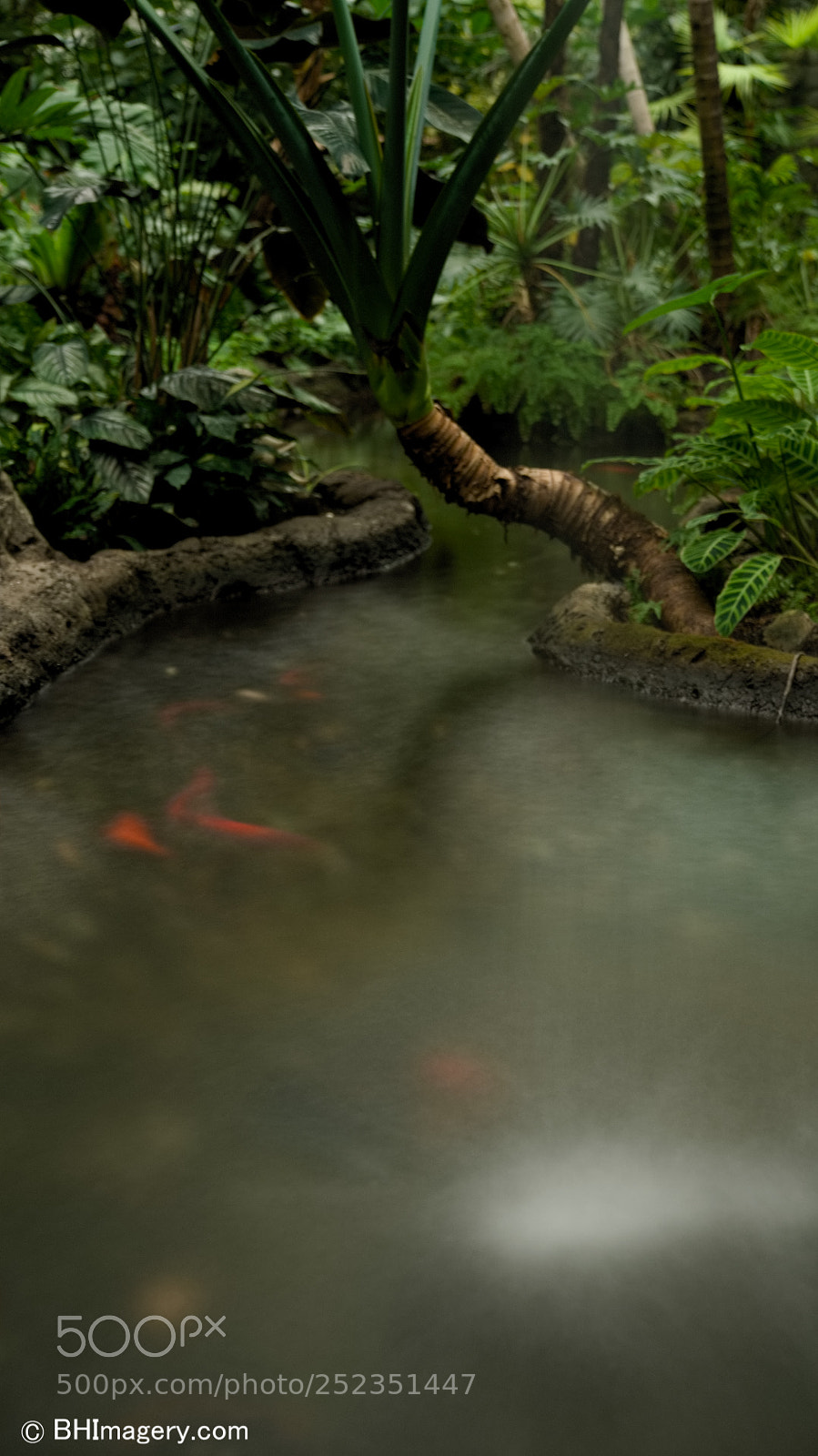 Sony a7R II sample photo. Opryland hotel photography