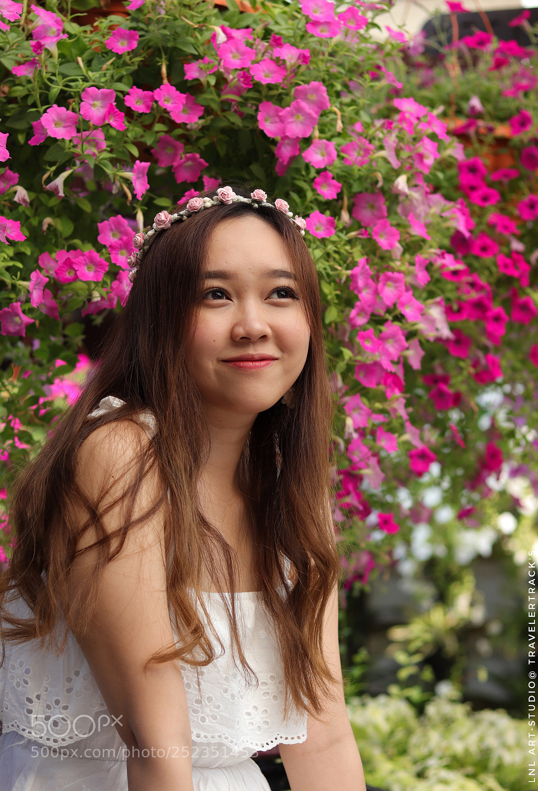 Canon EOS 800D (EOS Rebel T7i / EOS Kiss X9i) sample photo. 花仙子 photography