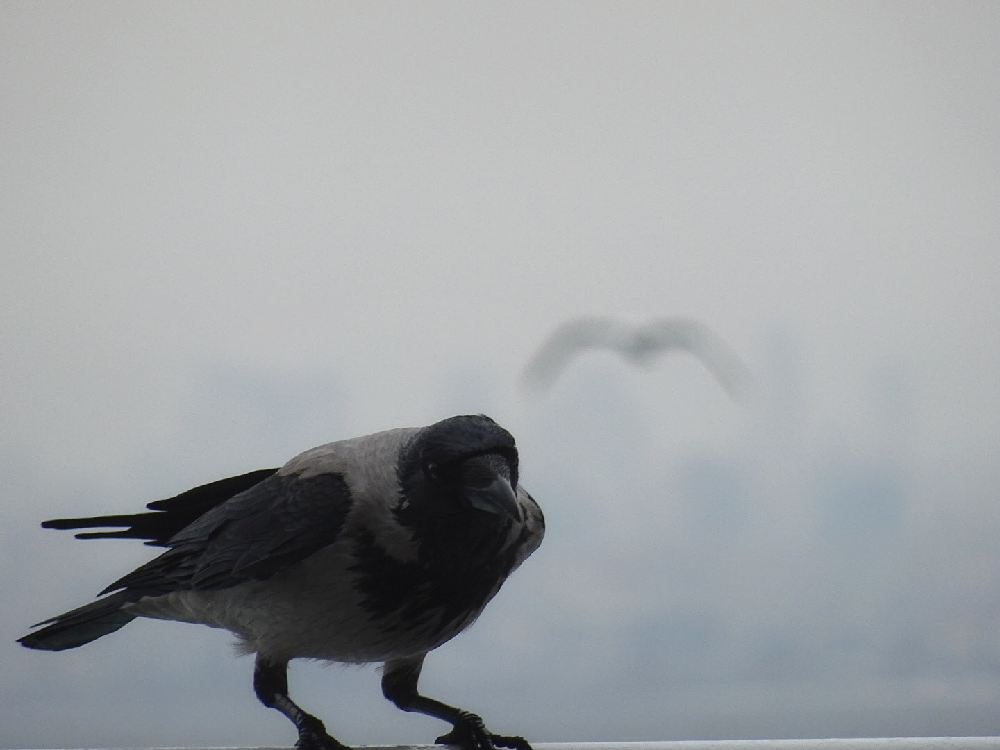 Sony DSC-QX30 sample photo. İstanbul photography