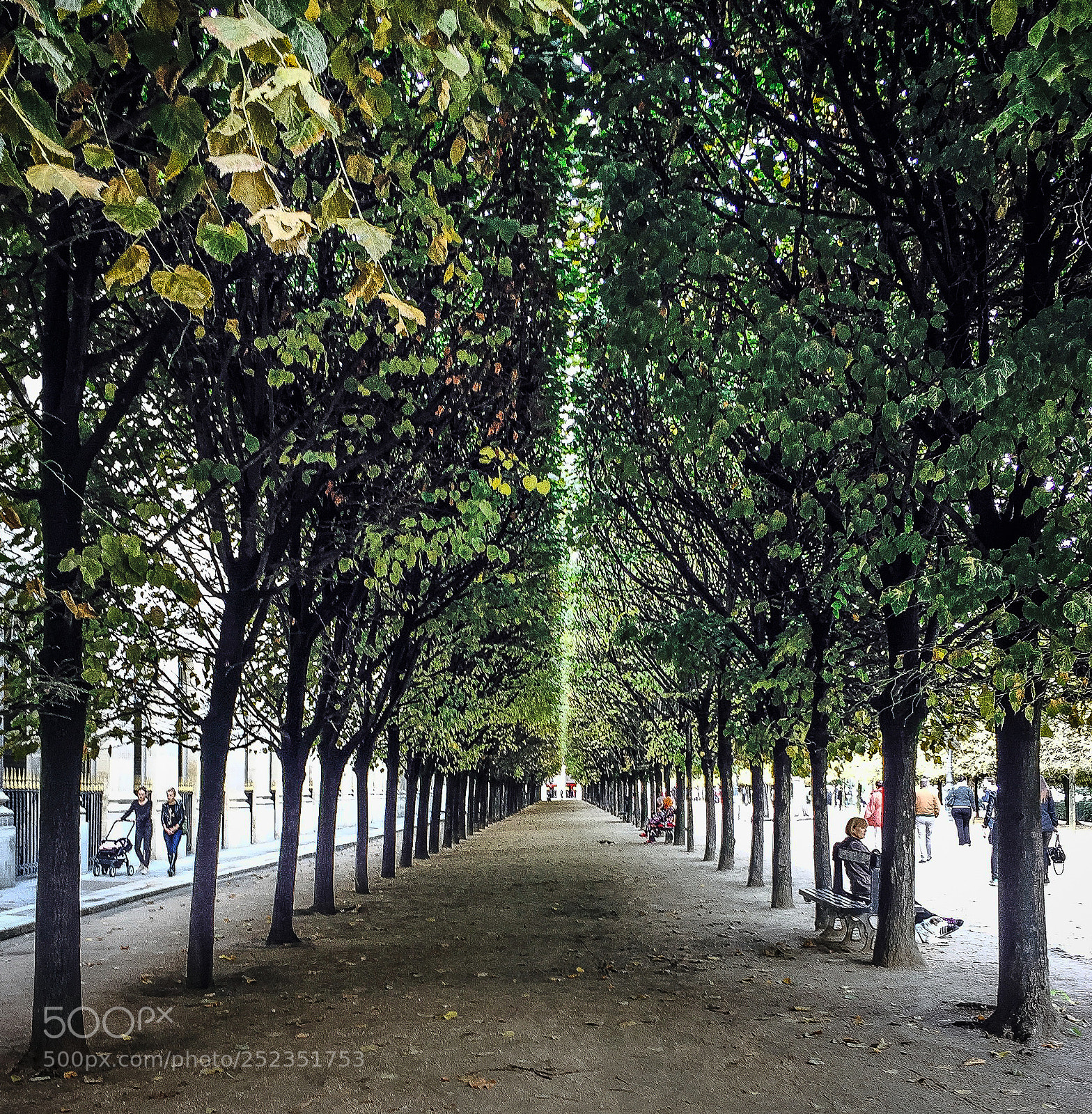 Apple iPhone 6 sample photo. () photography