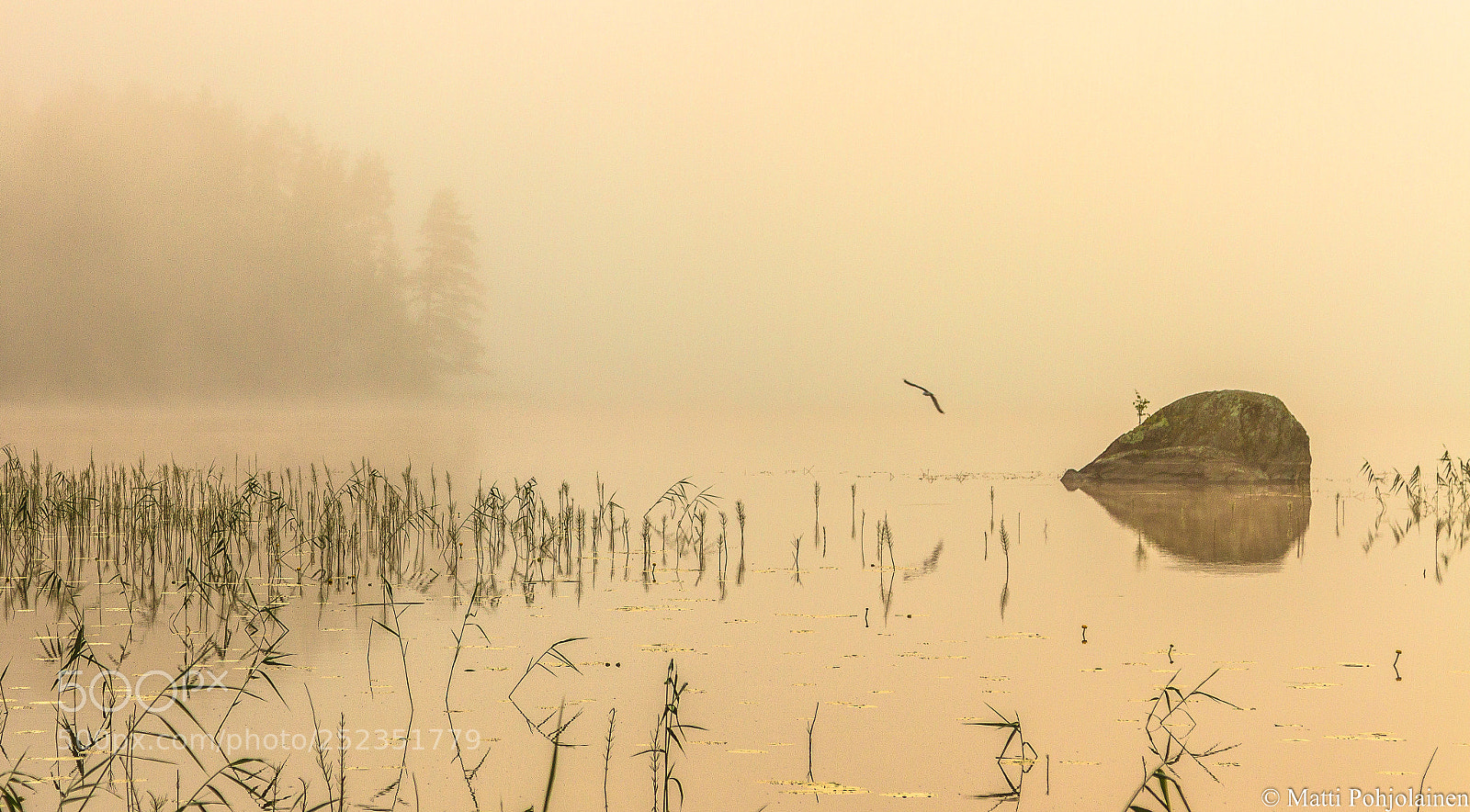 Canon EOS 7D sample photo. Misty morning photography