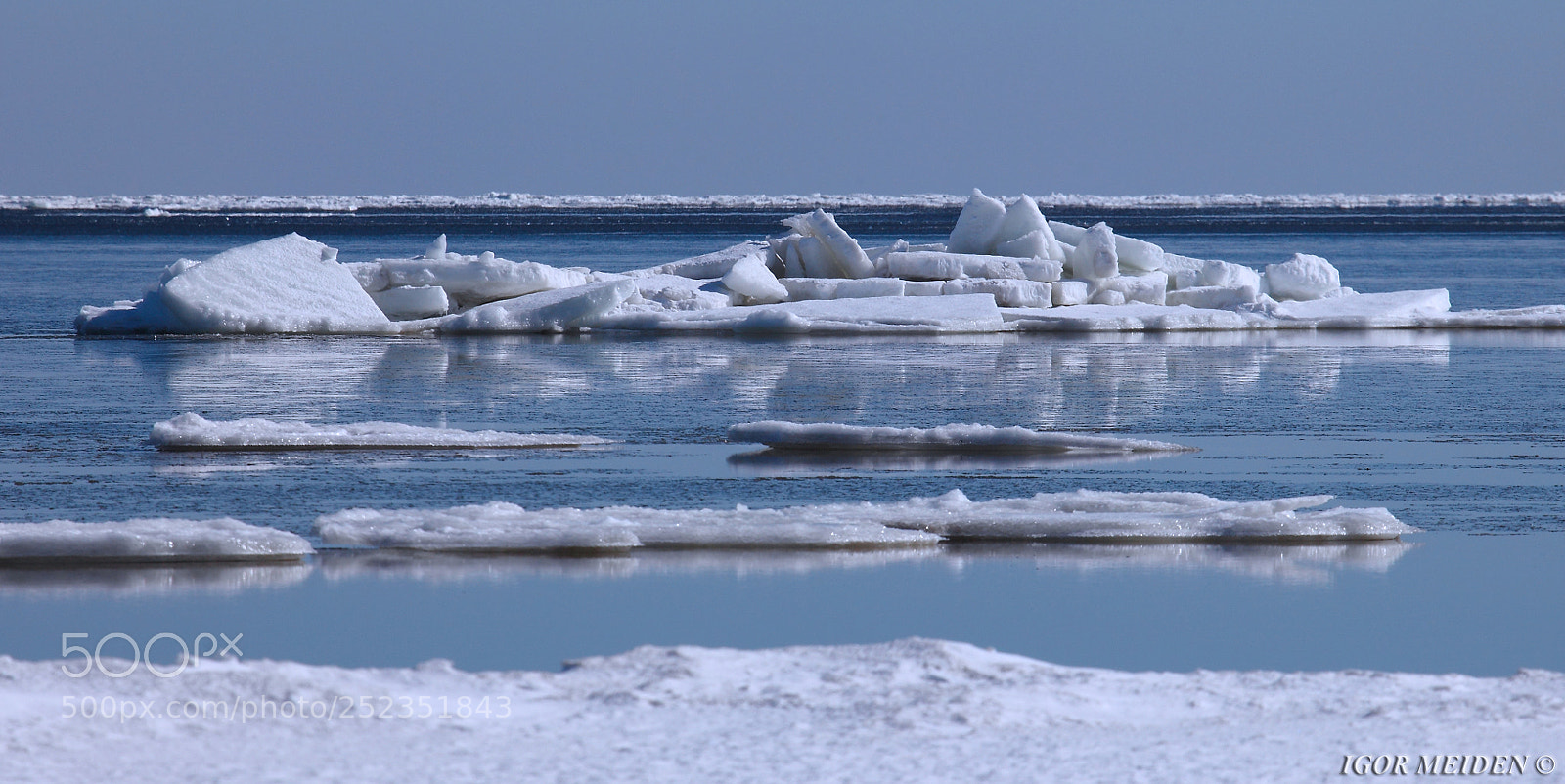 Canon EOS 5D Mark II sample photo. White swans amidst white photography