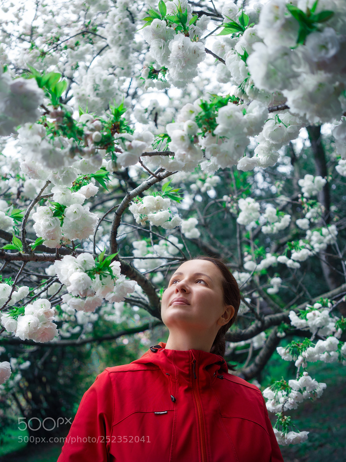 Sony a7R III sample photo. Spring beauty photography
