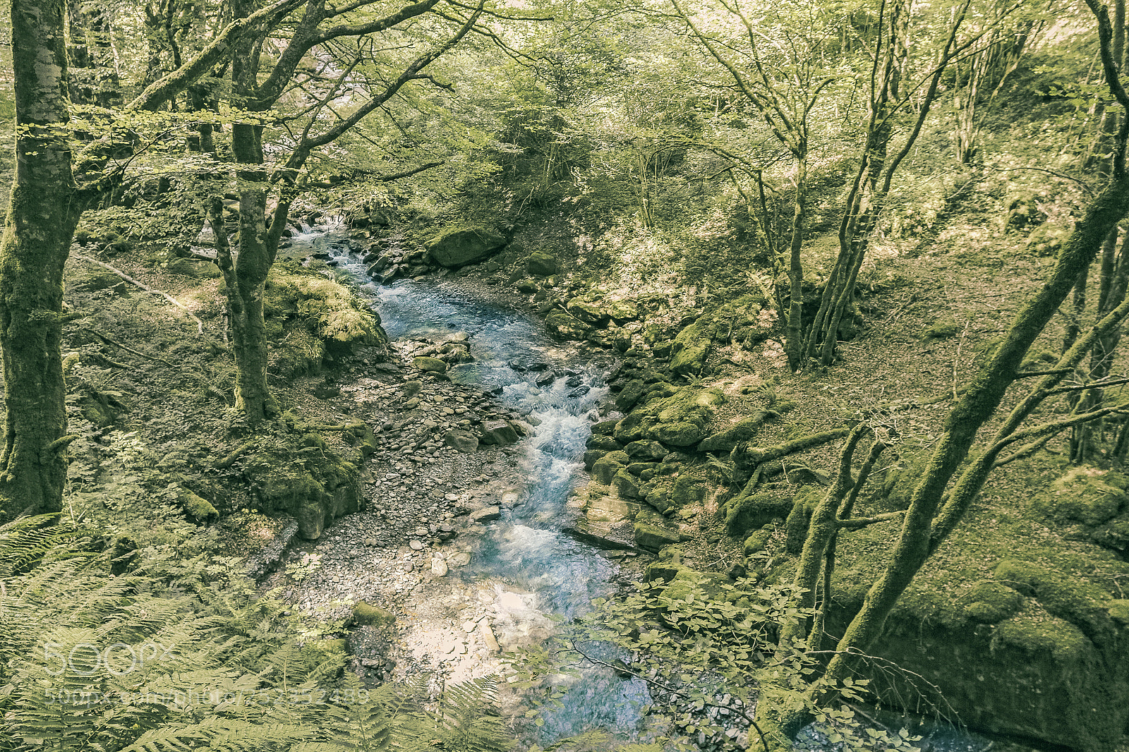 Canon EOS 7D sample photo. Mountain stream photography