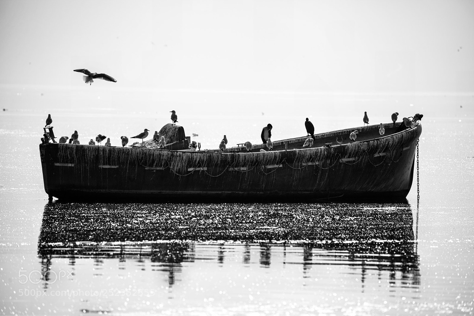 Canon EOS 5D Mark II sample photo. Untitled photography