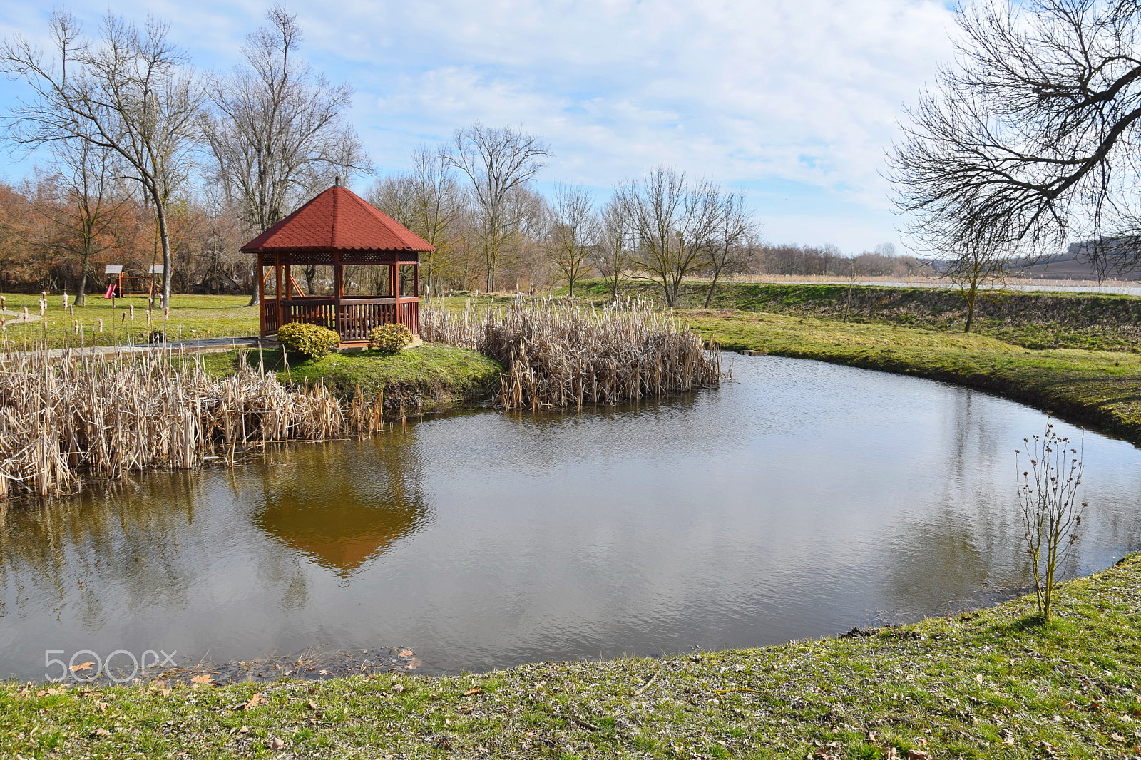 Nikon D5300 sample photo