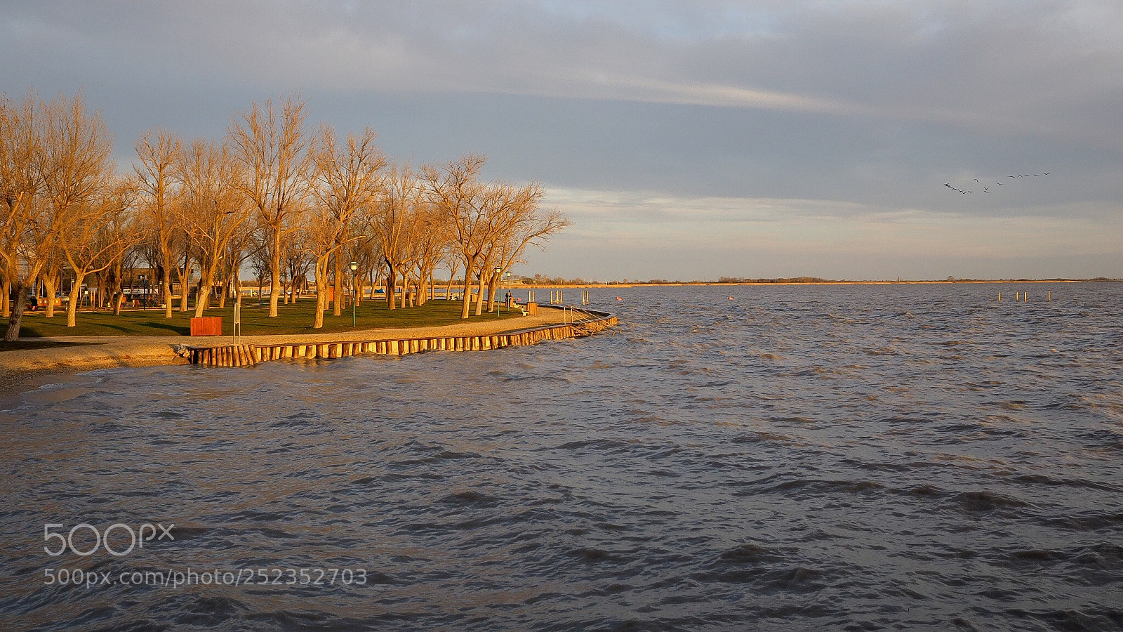 Olympus OM-D E-M1 sample photo. Sonnenuntergang am neusiedlersee, burgenland photography