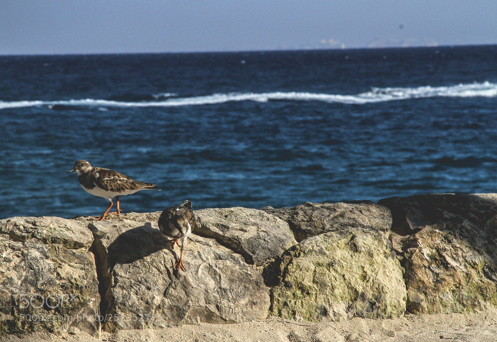 Canon EOS 7D sample photo. Img photography