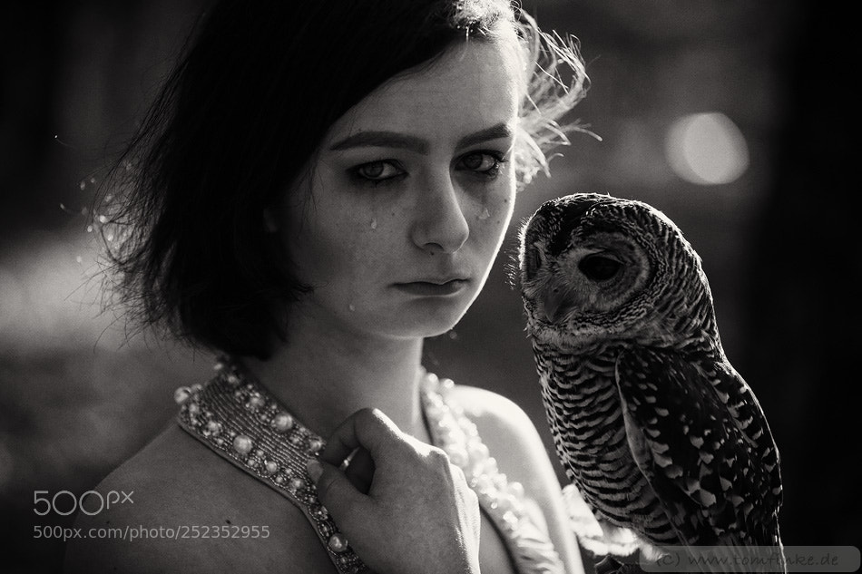 Canon EOS 5D Mark IV sample photo. My friend the owl photography